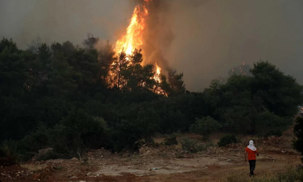 Φωτιά στα Βίλια: Δύσκολη νύχτα μετά την αναζωπύρωση στον Προφήτη Ηλία